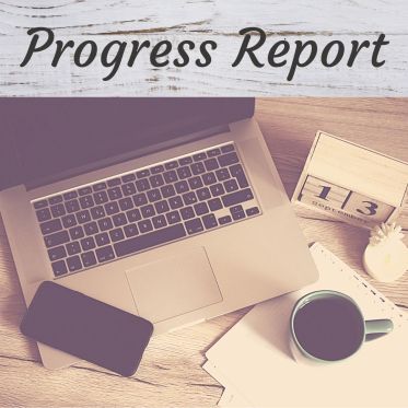 Progress Report
